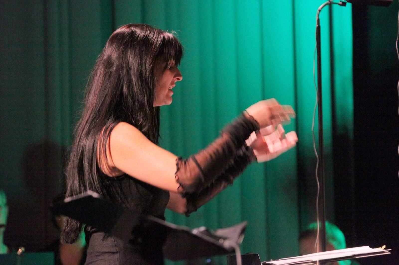 Cinema in Concert – Bild 10